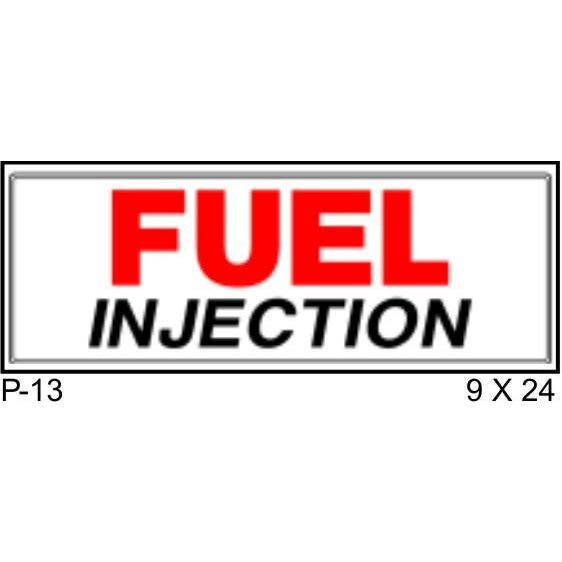 Fuel Injection P13